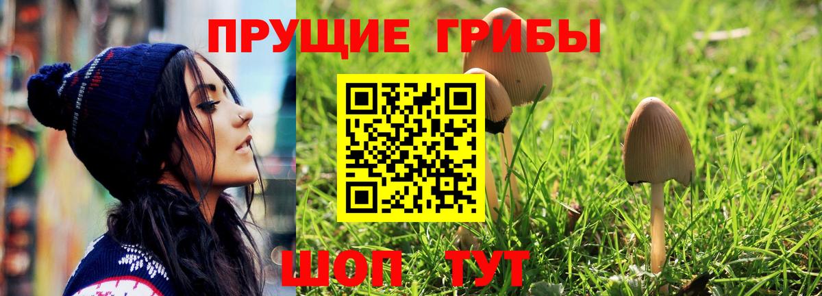 Галлюциногенные грибы Psilocybe Златоуст