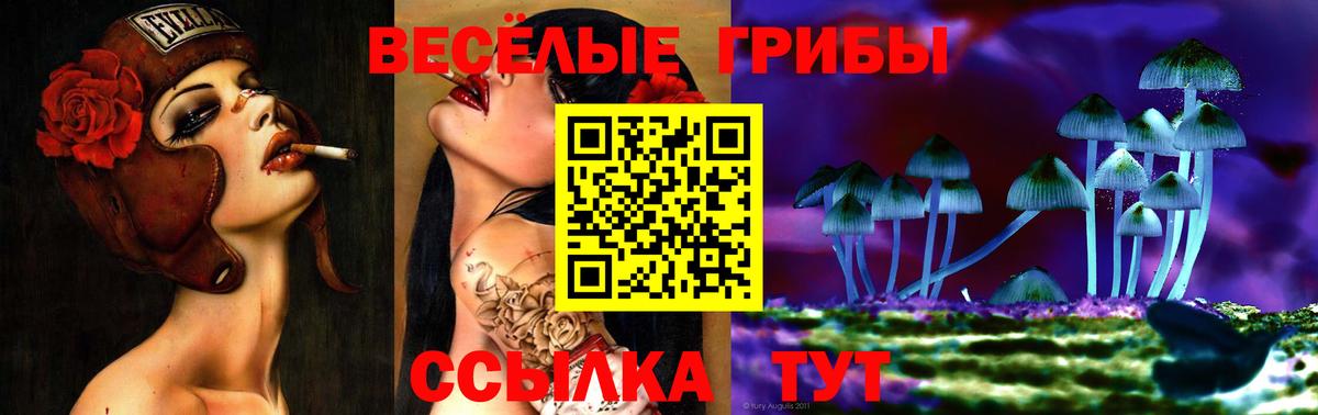 Златоуст  Галлюциногенные грибы Magic Shrooms  Вход с VPN 